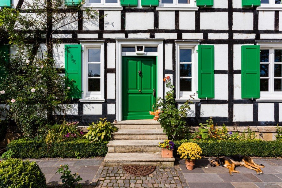 Hundeleben Einfamilienhaus Wuppertal