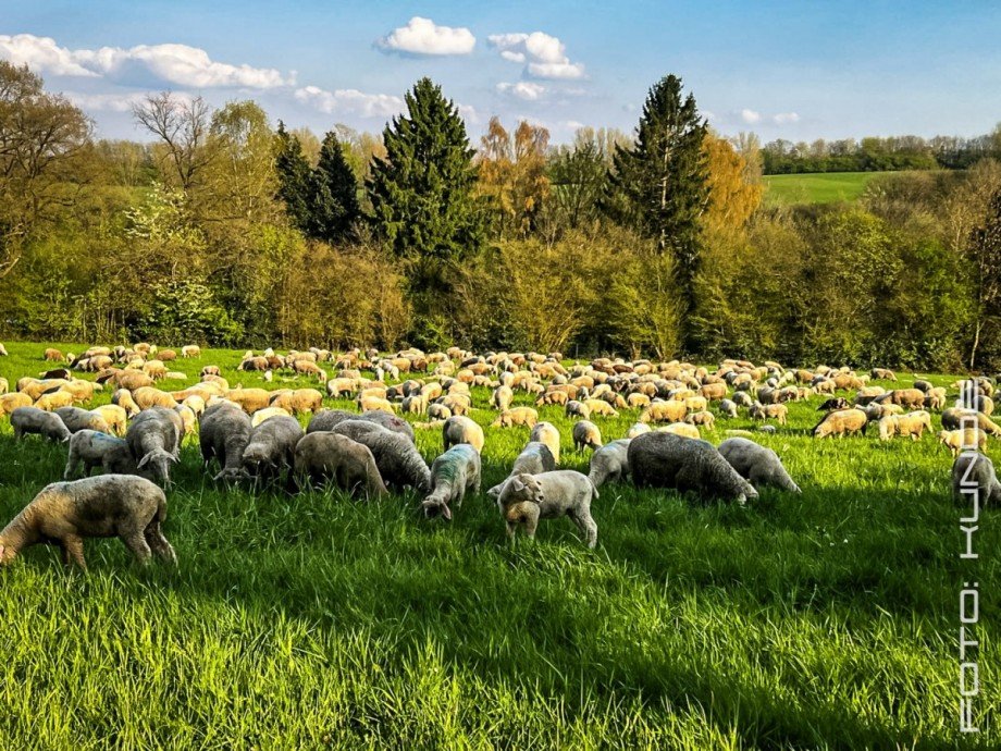 Umgebung / Landschaft (Kundenbilder) Dachgeschosswohnung Wuppertal