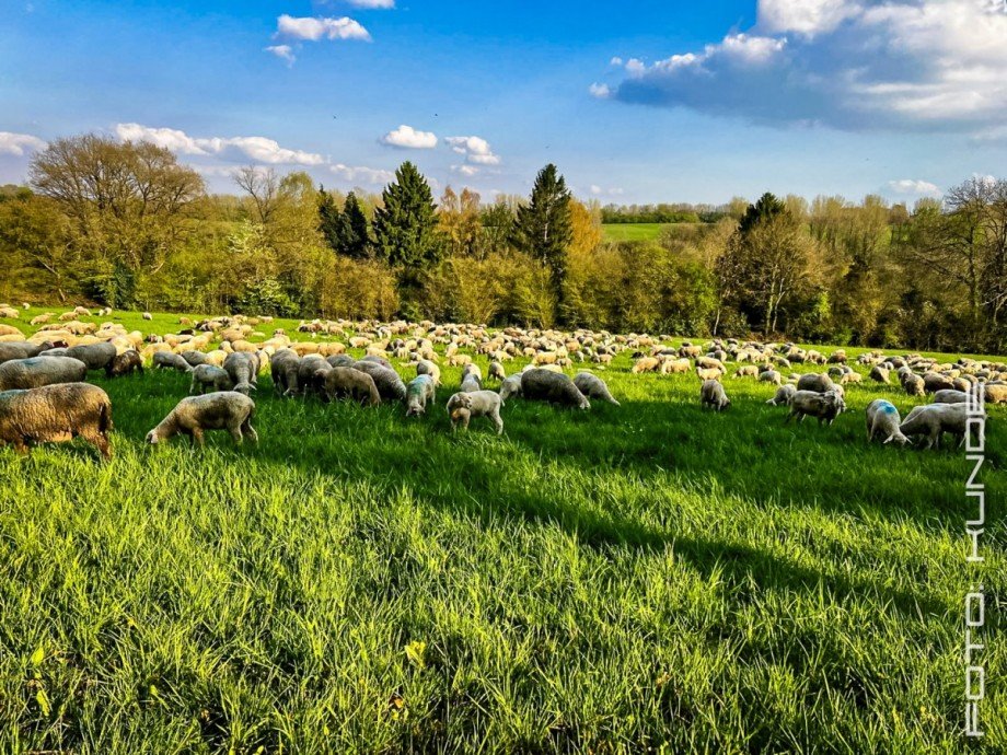 Umgebung / Landschaft (Kundenbilder) Dachgeschosswohnung Wuppertal