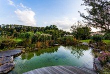 Schwimmterrasse * V e r k a u f t * Liebevoll sanierter Fachwerk-Hof mit Schwimmteich in idyllischer Lage